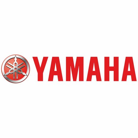 Yamaha 6 PK buitenboordmotor F6DMS
